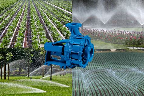 for water irrigation centrifugal or impeller pump|sprinkler system well pumps residential.